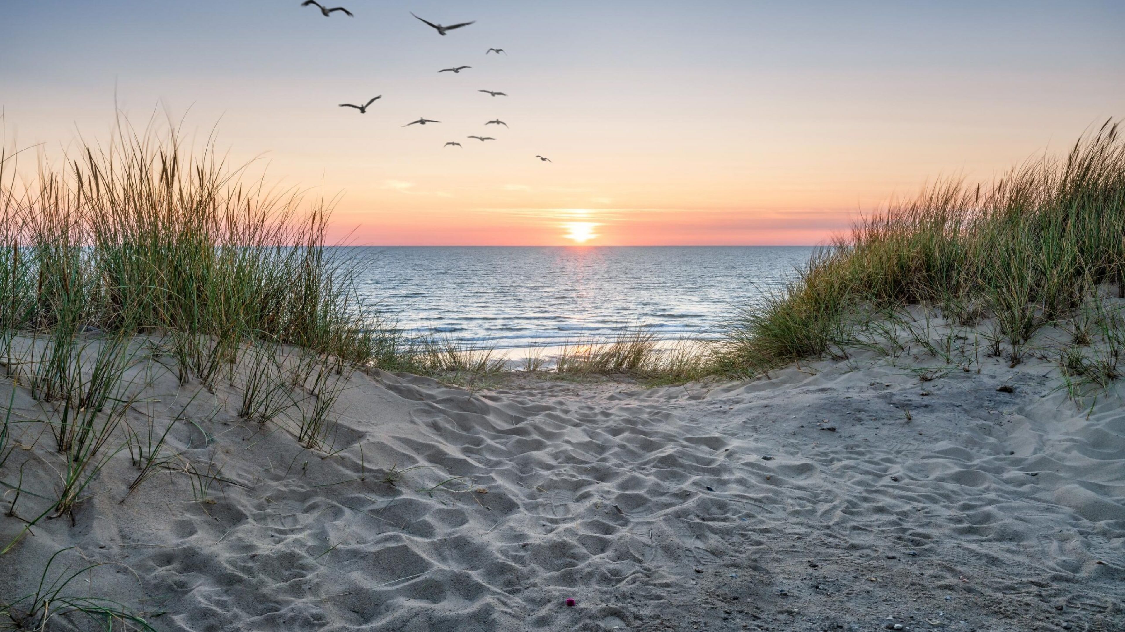 Hawthorne Ocean Isle exterior rendering