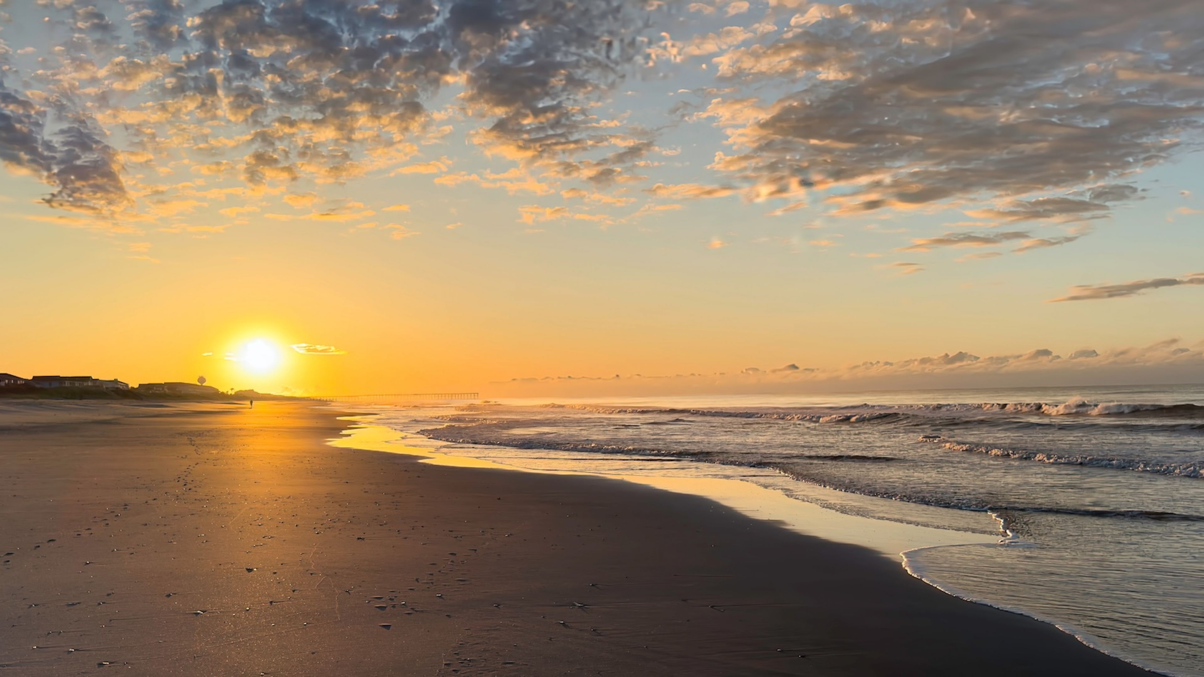 Hawthorne Ocean Isle palm leaves blowing in the wind against a blue sky